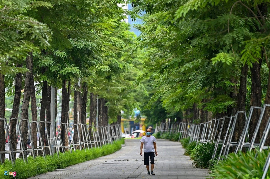 Chiêu nhập lậu hàng nghìn cây xanh trong vụ ông Nguyễn Đức Chung-2