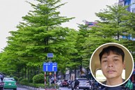 Chiêu nhập lậu hàng nghìn cây xanh trong vụ ông Nguyễn Đức Chung
