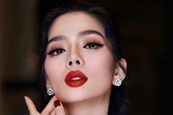 Lệ Quyên khẳng định là nghệ sĩ chân chính nhưng bị xúc phạm vô cớ