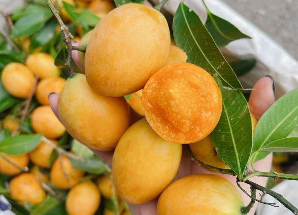 Từ mức cao chót vót, thanh trà Thái có giá rẻ như rau-1