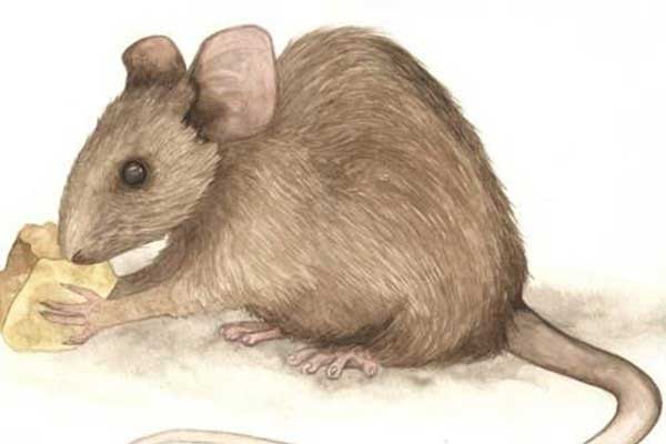 Thời vận xoay chuyển: 4 con giáp đổi đời mạnh mẽ, gặp nhiều may mắn trong 3 tháng tới-1