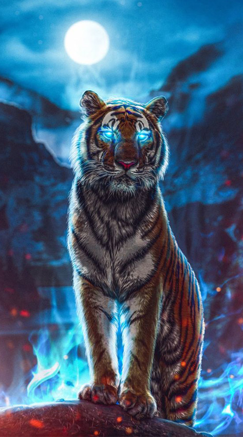 hình nền điện thoại đẹp con hổ | Tiger images, Tiger wallpaper, Tiger  wallpaper iphone