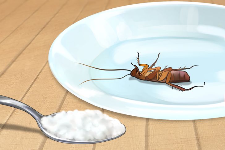 6 cách diệt côn trùng không cần sử dụng đến hóa chất-3
