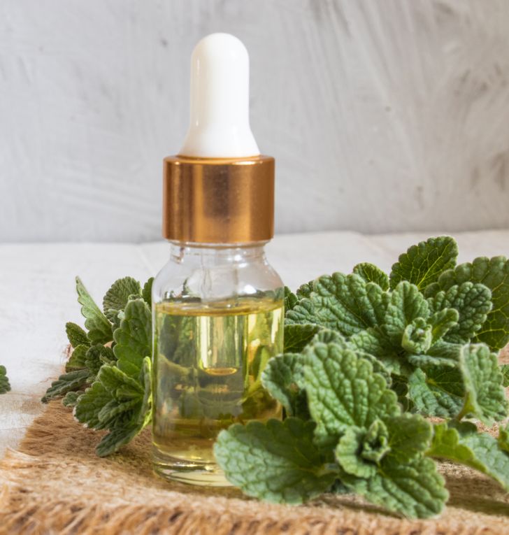 6 cách diệt côn trùng không cần sử dụng đến hóa chất-6