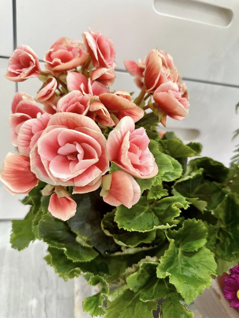 Từng u uất khi sinh con, nữ ca sĩ liên tục đổi xe và tậu nhà 6 tỷ sau khi ly hôn chồng Hàn-15