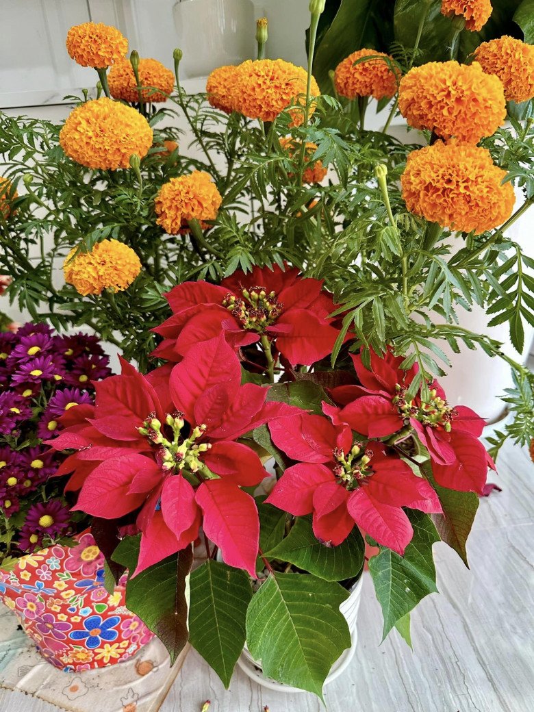 Từng u uất khi sinh con, nữ ca sĩ liên tục đổi xe và tậu nhà 6 tỷ sau khi ly hôn chồng Hàn-16