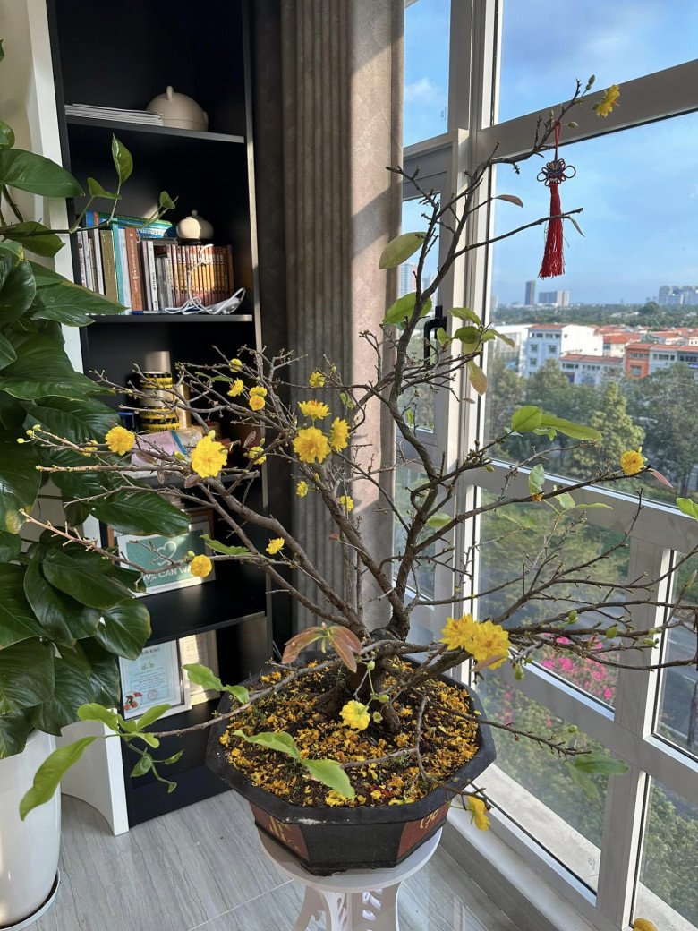 Từng u uất khi sinh con, nữ ca sĩ liên tục đổi xe và tậu nhà 6 tỷ sau khi ly hôn chồng Hàn-18