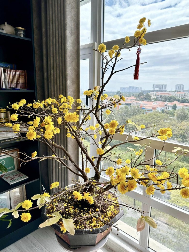 Từng u uất khi sinh con, nữ ca sĩ liên tục đổi xe và tậu nhà 6 tỷ sau khi ly hôn chồng Hàn-19