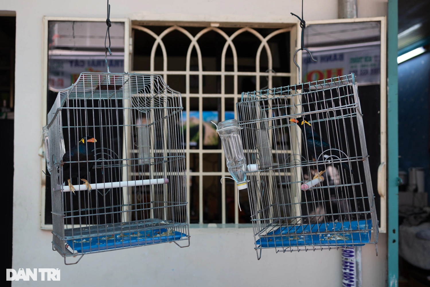 Hơn 50 năm tình bạn trong khu anh chị khét tiếng ở TPHCM-15