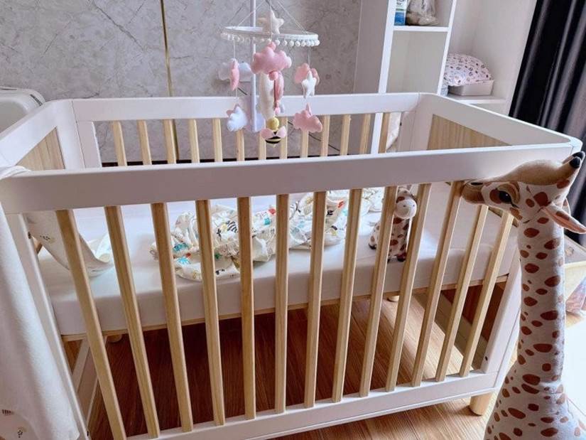 Cặp đồng tính nữ chi 1 tỷ qua Mỹ tìm con, giờ mỗi người một nơi, mẹ còn trong cữ đã livestream bán hàng-8