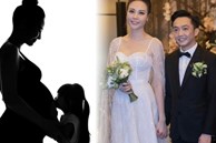 Đàm Thu Trang tuyên bố mang thai nhóc tì thứ 2 với ông xã Cường Đô La