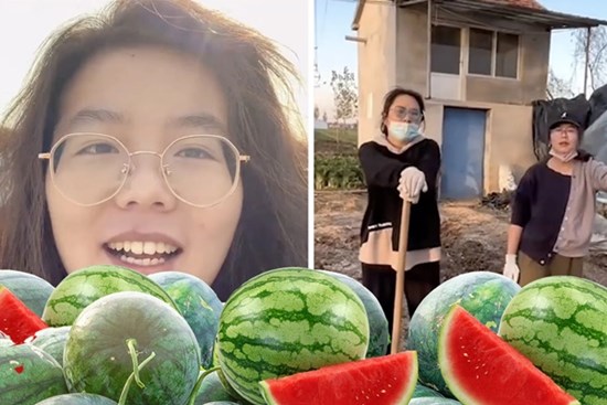 Tốt nghiệp thạc sĩ, cô gái bỏ việc lương cao về quê trồng dưa