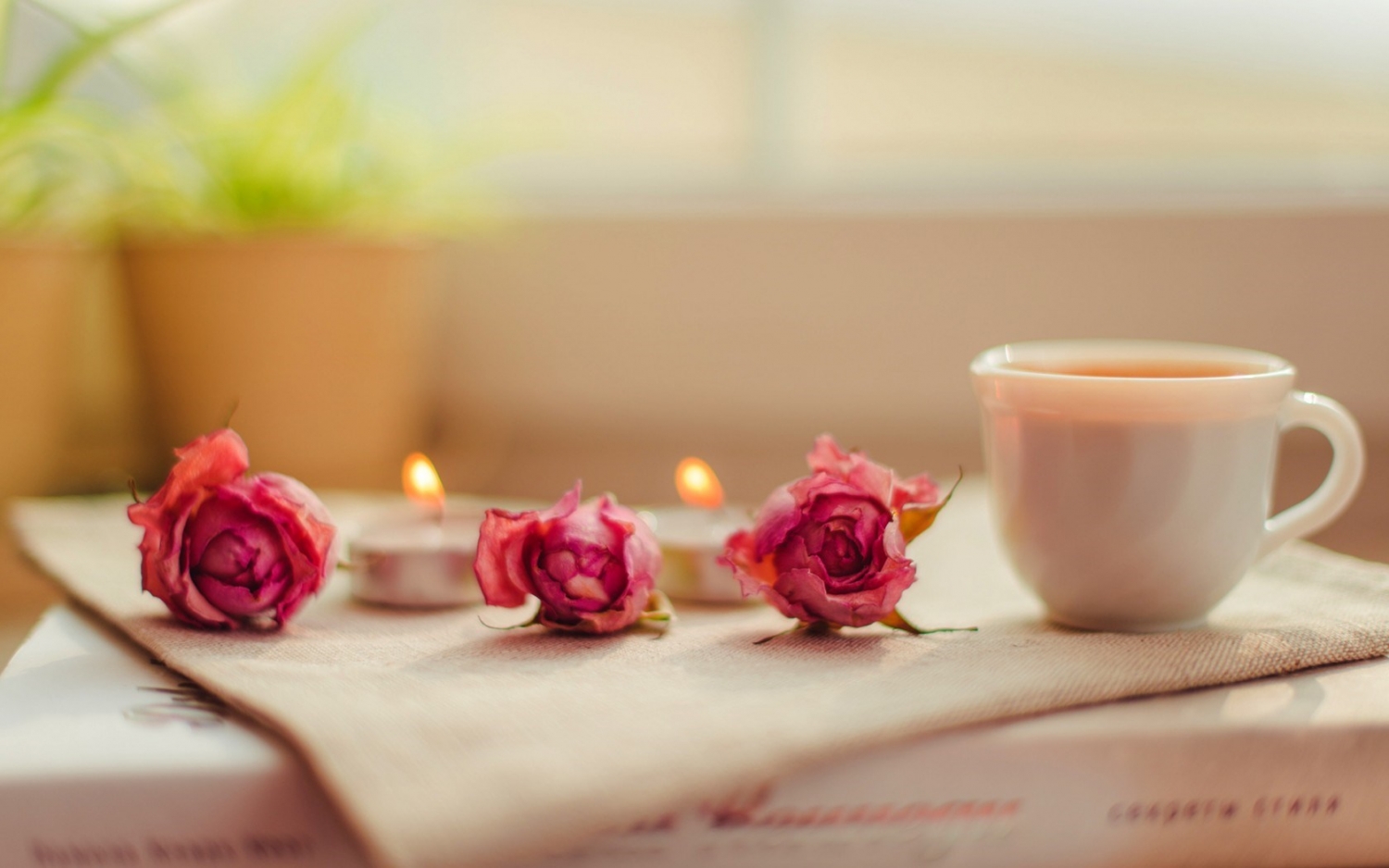 Tử vi ngày 2/4/2023 của 12 cung hoàng đạo: Cự Giải vui vẻ, Song Ngư hào phóng-4