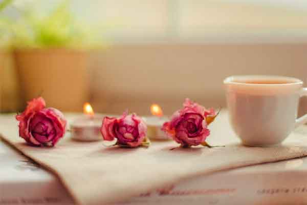 Tử vi vui 12 con giáp hôm nay ngày 2/4/2023: Thìn may mắn, Mùi suôn sẻ-2