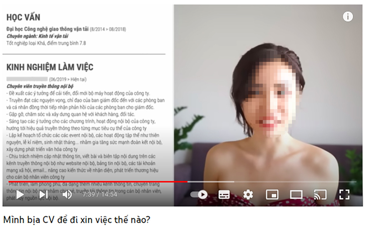 Cô gái khoe bịa CV để xin việc, kiếm tiền từ bạn hẹn hò bị chỉ trích-2