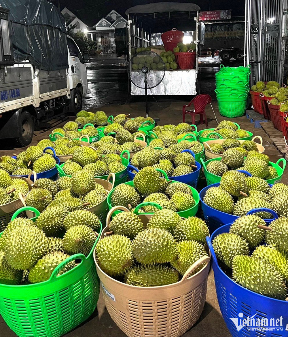 Mải mê xuất sầu riêng sang Trung Quốc, hàng Thái tràn chợ Việt bán giá cao-1