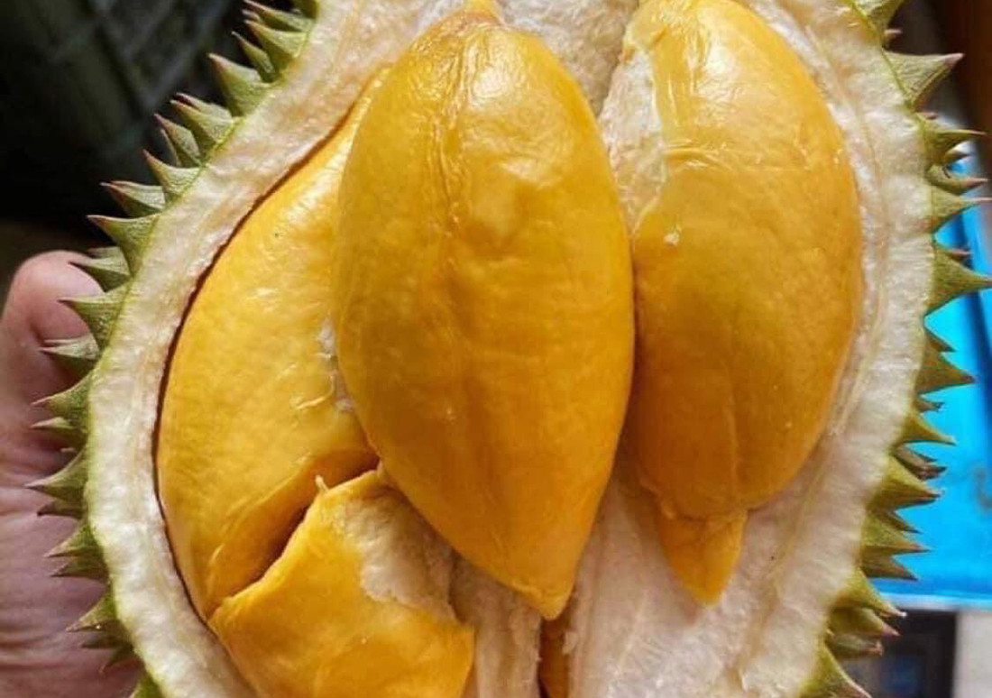 Mải mê xuất sầu riêng sang Trung Quốc, hàng Thái tràn chợ Việt bán giá cao-2