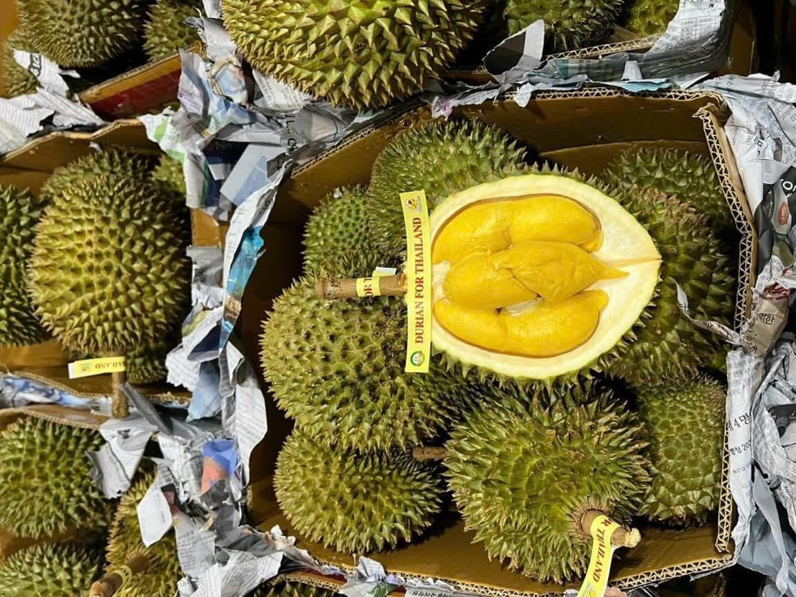 Mải mê xuất sầu riêng sang Trung Quốc, hàng Thái tràn chợ Việt bán giá cao-3