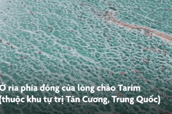 Hàng nghìn khối đá muối 'mọc' như nấm ở Trung Quốc