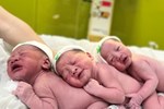 Sinh 3 bé với tổng gần 7,5 kg