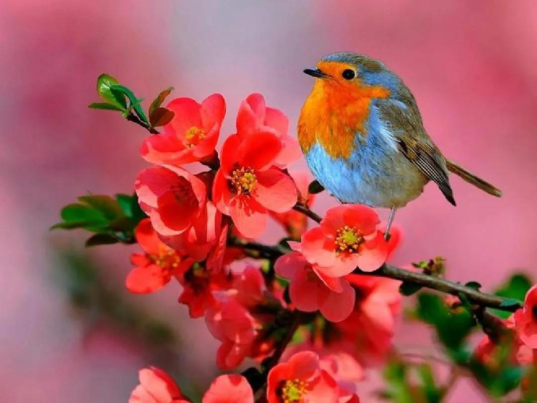 Suốt mùa hè không chịu áp lực, 4 con giáp đón phước lành, vận may liên tiếp, tài lộc ùn ùn-3