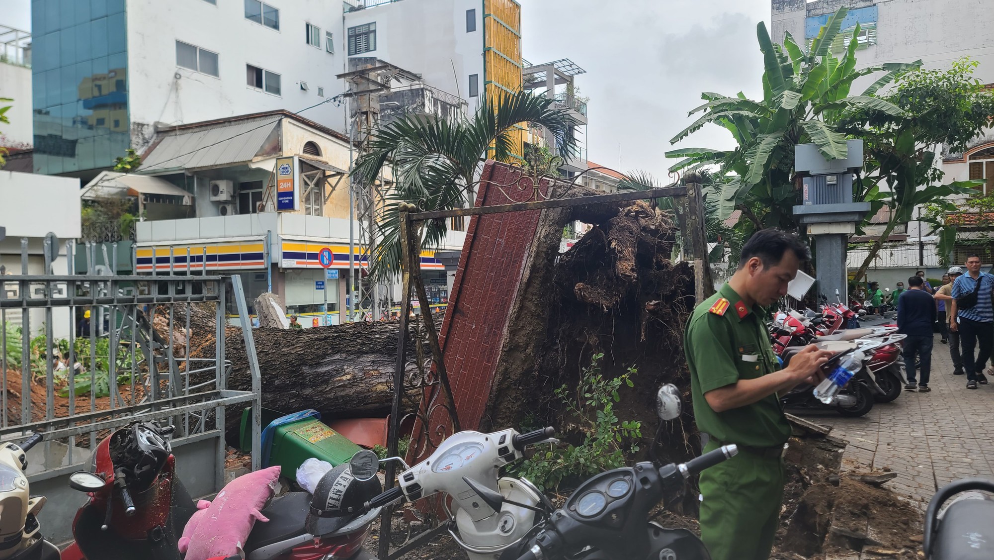 Cây me trong trường học bất ngờ bật gốc, đè nhiều người bị thương-1