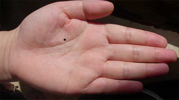 Có nốt ruồi son ở vị trí này chủ nhân luôn gặp may mắn và giàu có-2