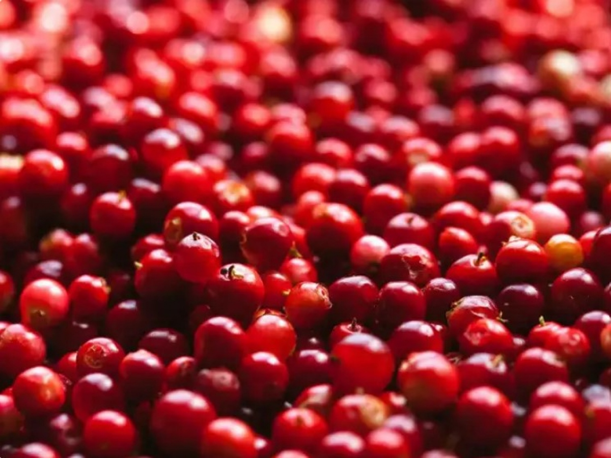 Top những thực phẩm giúp giảm cân nhanh chóng-2