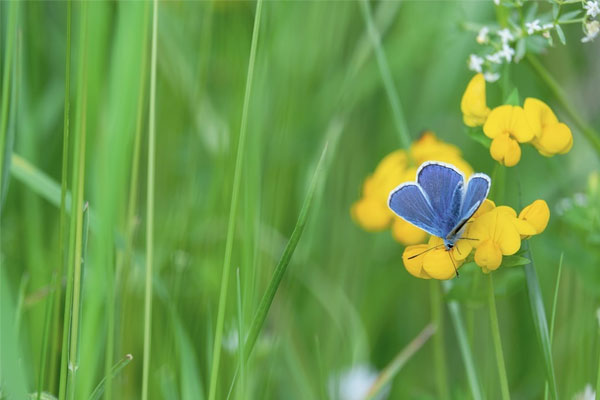 Giữa tháng 4: Ba tuổi Thần Tài báo mộng giàu kếch xù, tay trái đeo vàng, tay phải hứng bạc-4