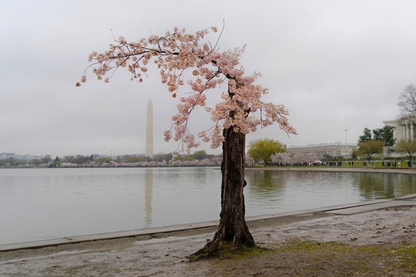 Những đô thị khó hồi sinh ở Mỹ-4