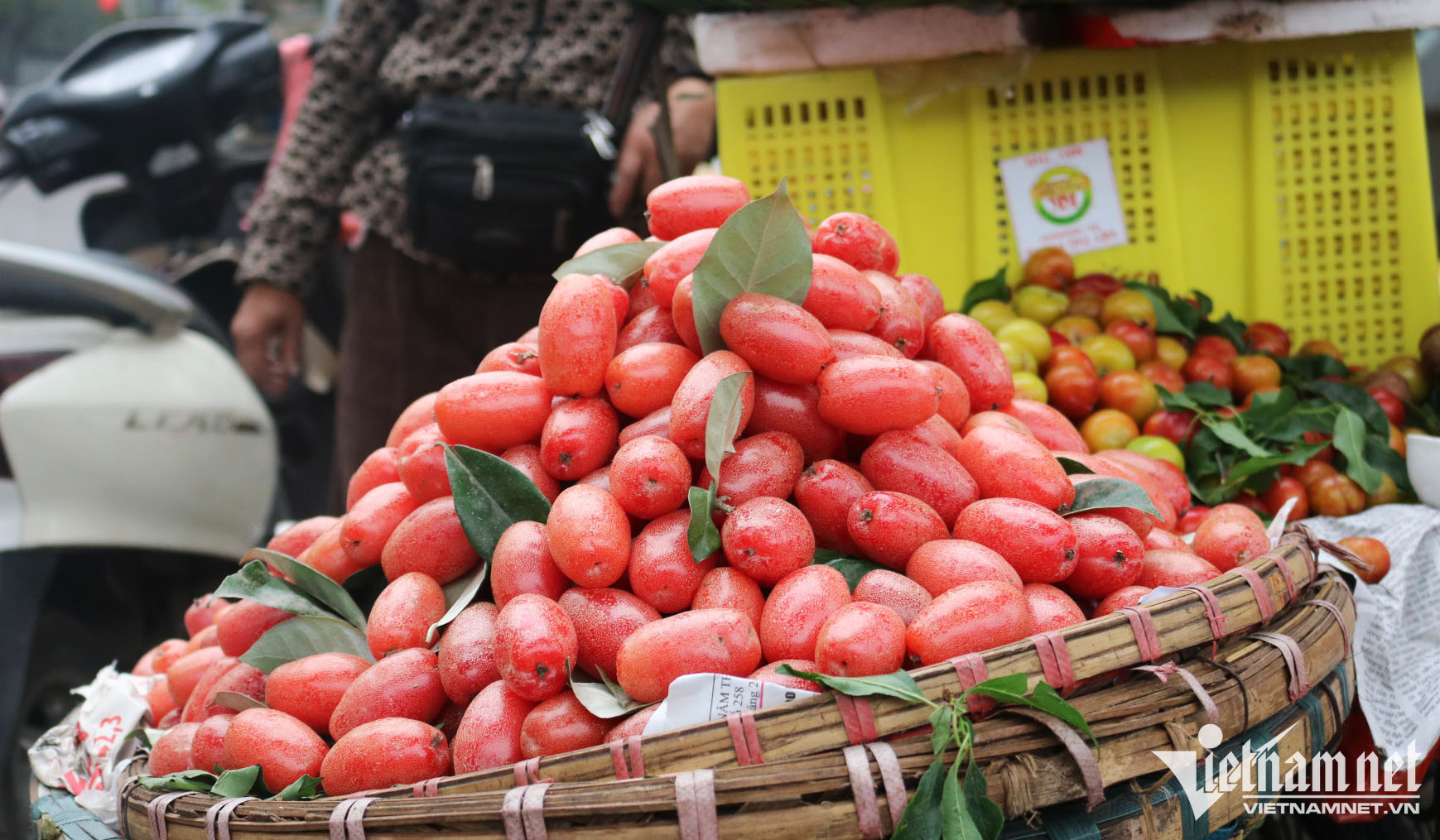 Ở vườn ngoại thành giá rẻ như rau, vào nội thành nhót chín là hàng đắt đỏ-5