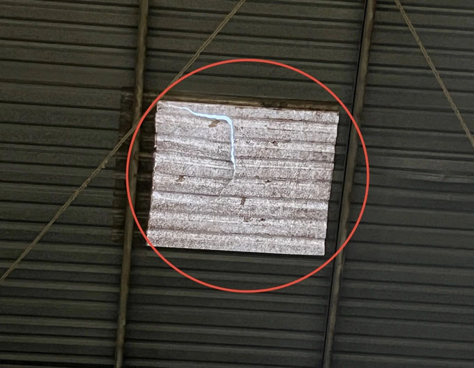 Người đàn ông tử vong khi đến phòng trọ của bạn gái chơi-2