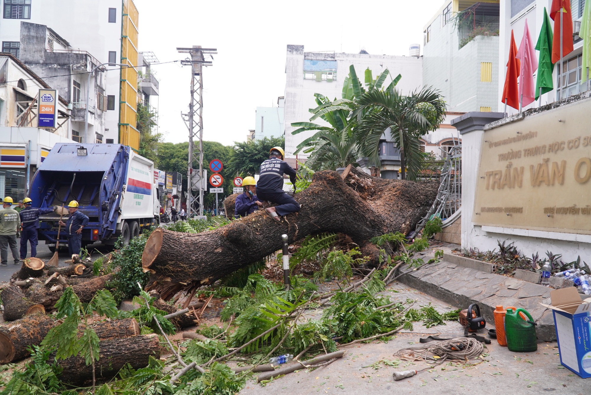 Nhân chứng kể lại giây phút cây xanh bật gốc đè trúng nhiều người trước cổng trường ở TPHCM-1