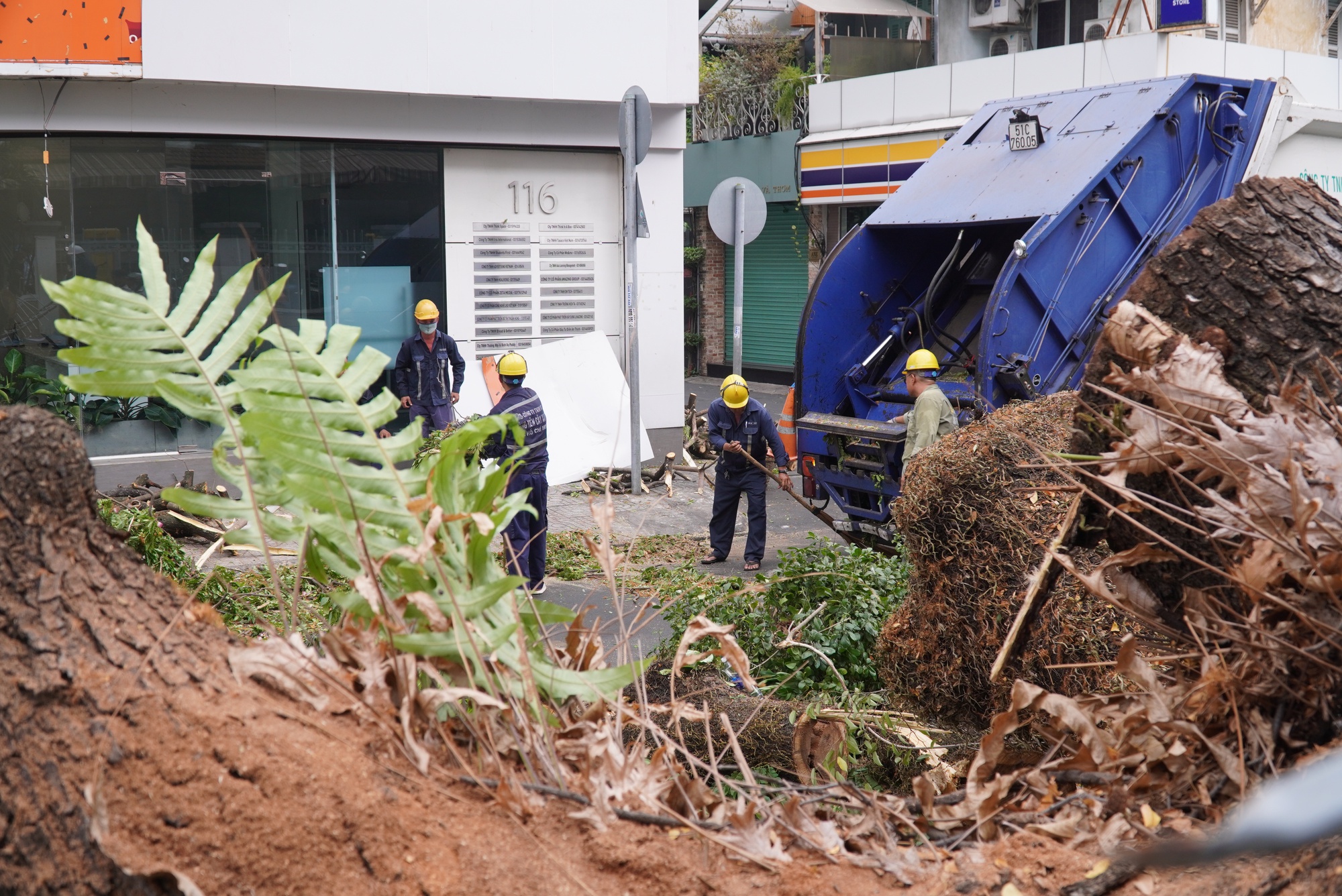 Nhân chứng kể lại giây phút cây xanh bật gốc đè trúng nhiều người trước cổng trường ở TPHCM-3