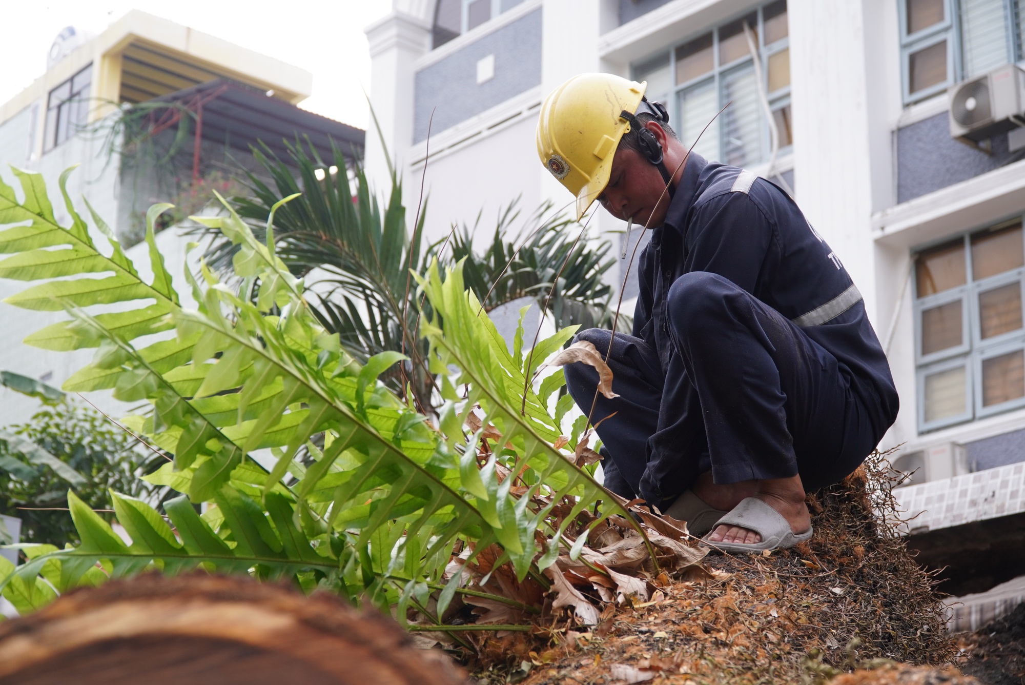 Nhân chứng kể lại giây phút cây xanh bật gốc đè trúng nhiều người trước cổng trường ở TPHCM-4