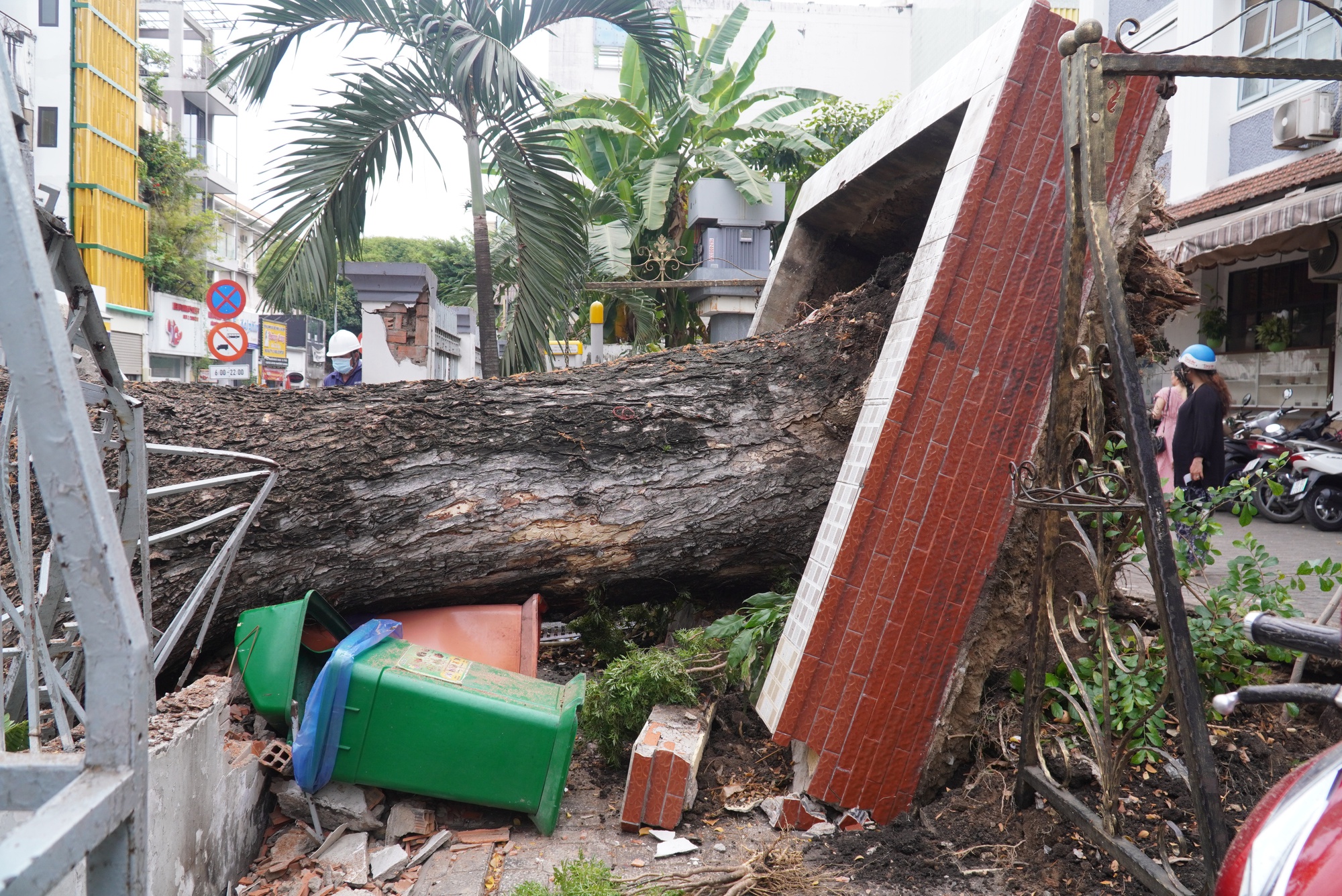 Nhân chứng kể lại giây phút cây xanh bật gốc đè trúng nhiều người trước cổng trường ở TPHCM-6