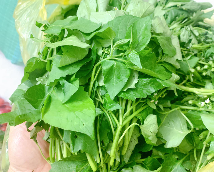 Loại rau dại nay bán 30.000 đồng/kg, mới bán đã bay hàng chục cân-1