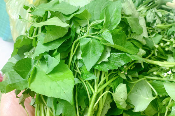 Bọ biển 4 triệu đồng một con, dân sành ăn vẫn tranh nhau mua-4