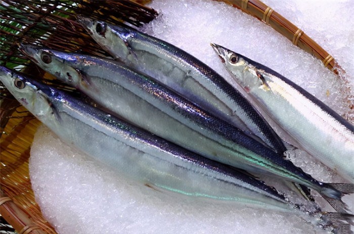 3 loại cá có hàm lượng dinh dưỡng cao nhưng lại ít bán đại trà trong chợ, thấy là nên mua ngay-2