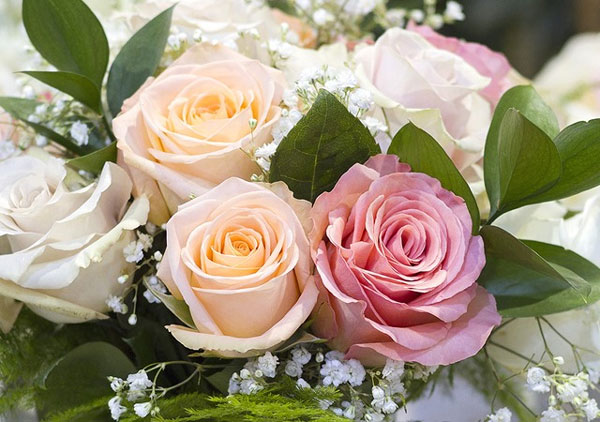 Tuần đầu tháng 4, 3 con giáp nghiêm túc trong công việc, nhận thành quả sau nhiều nỗ lực-3