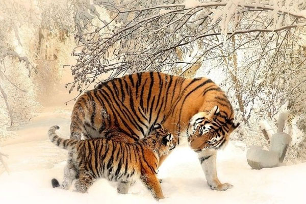 Người có giờ sinh này luôn may mắn, làm gì cũng ra tiền, chào đón thành công rực rỡ-5