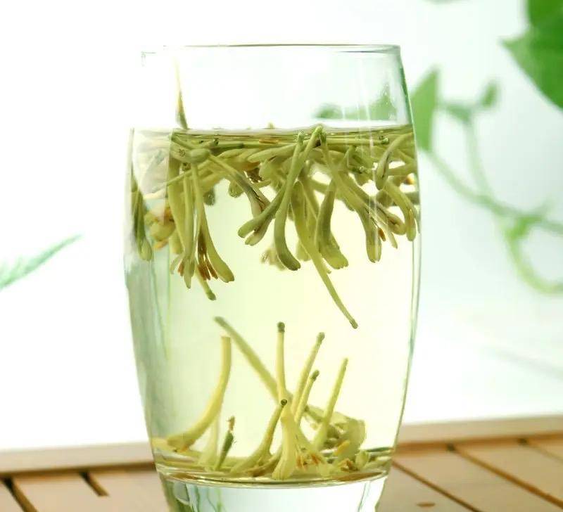 Người xưa dặn: Trồng hoa 1 năm, dưỡng người cả đời, 7 cây cảnh dùng pha trà, uống vào khỏi bệnh tật, tai ách-14