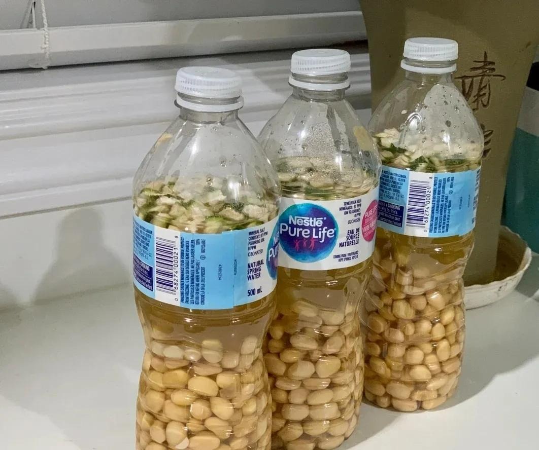 4 loại nước thần dược với cây cảnh, 7 ngày tưới 1 lần giúp lá xanh, hoa thắm, nở bung chậu-5