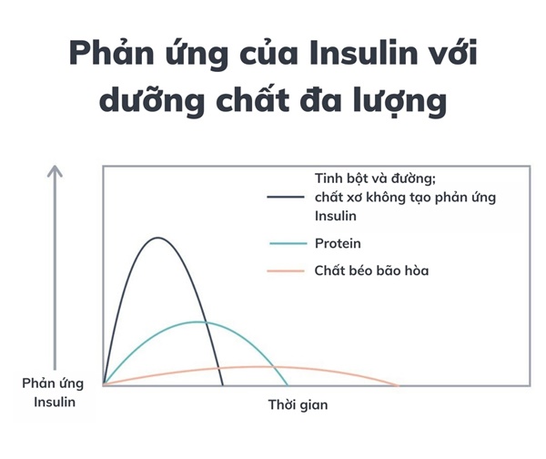 Cách đường đầu độc cơ thể con người-3