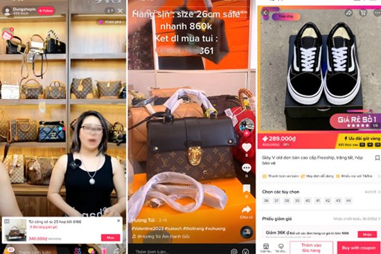 Bát nháo kinh doanh, kiếm tiền trên TikTok ở Việt Nam