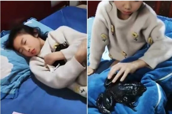 Nghe tiếng động lạ trong phòng con gái, kiểm tra phát hiện điều rợn người