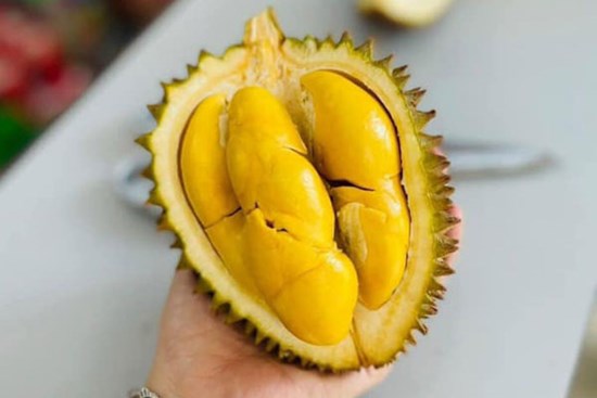 Sầu riêng tí hon giá bán lên đến 250.000 đồng/kg