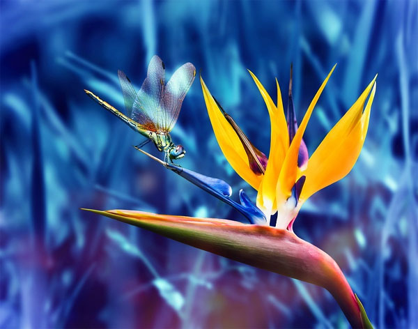 Người có giờ sinh này luôn may mắn, làm gì cũng ra tiền, chào đón thành công rực rỡ-4