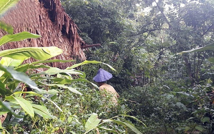 Gia đình sống gần như tuyệt giao với xã hội ở Thanh Hóa: Khai quật khu vườn bí ẩn, tìm thấy vô số sắt thép-1