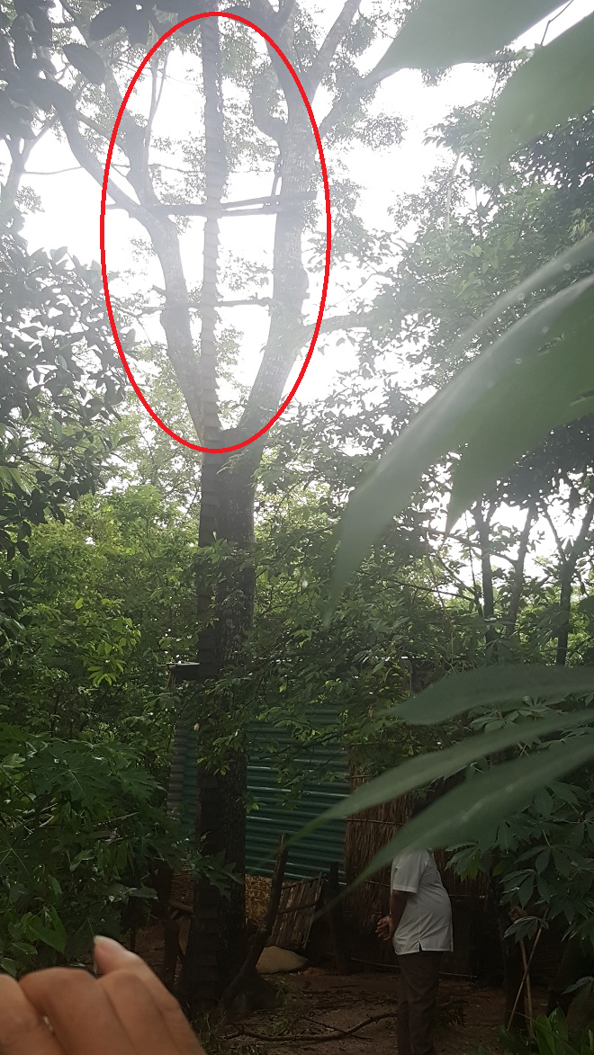 Gia đình sống gần như tuyệt giao với xã hội ở Thanh Hóa: Khai quật khu vườn bí ẩn, tìm thấy vô số sắt thép-8